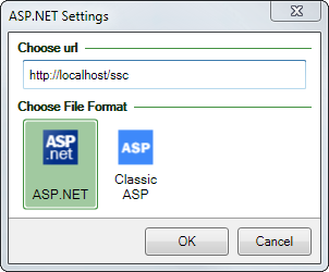 Screenshot of the ASP.Net settings