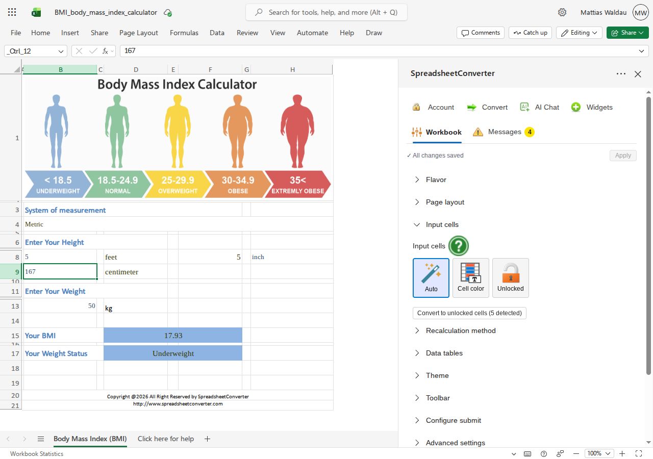 Workbook Input cells settings with Auto selected and Cell color and Unlocked choices visible