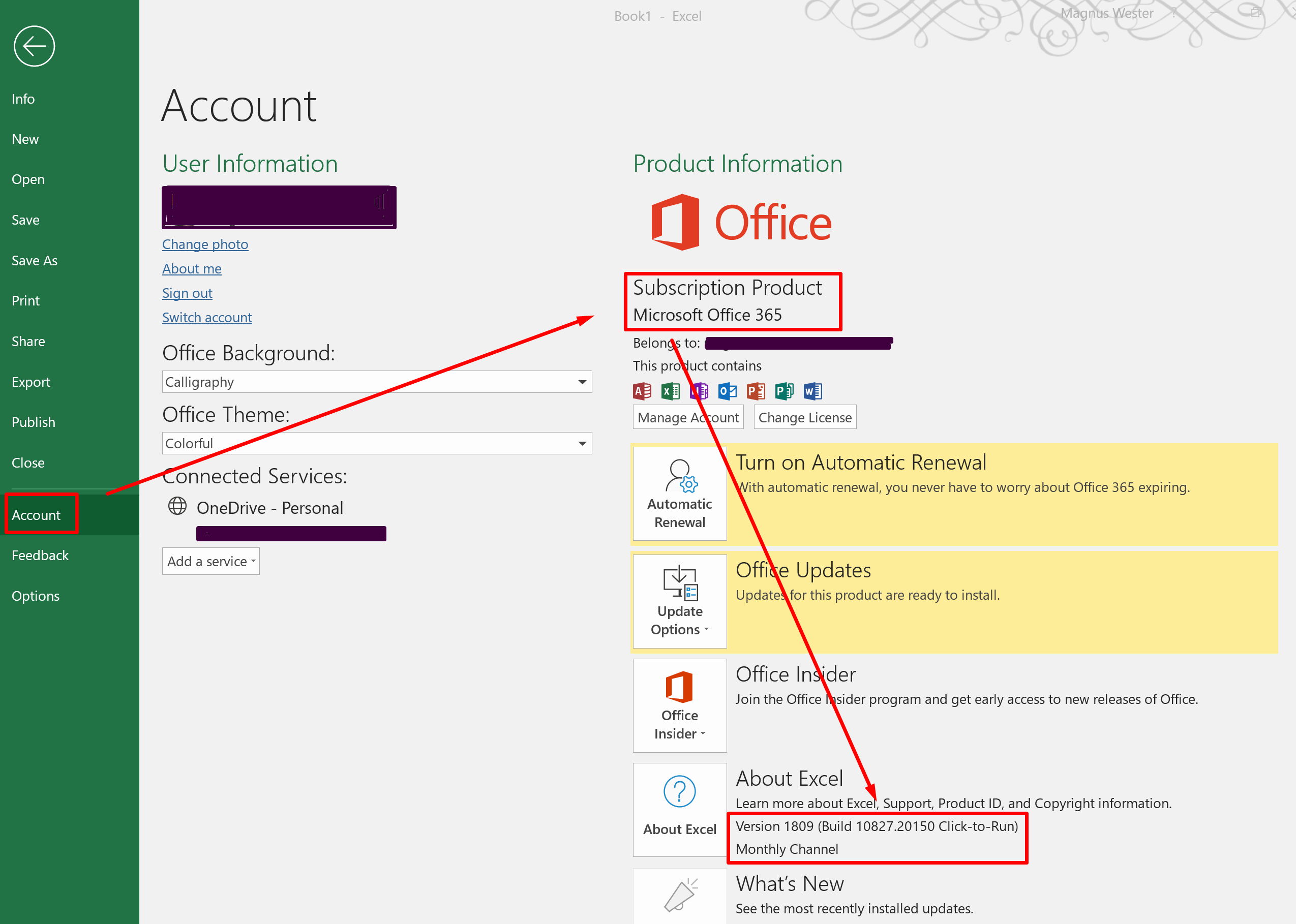 Screenshot of the File  Account screen in Excel