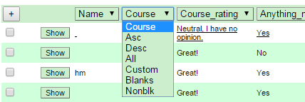 AutoFilter Options Simple Course Evaluation Screenshot