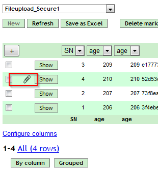 Screenshot of a file attachment in the Advanced Submit Server