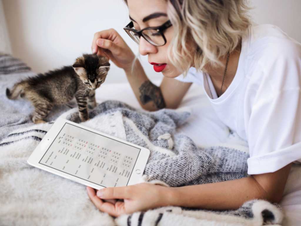 Photo of a girl with an iPad examining football odds